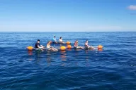 Haleiwa Clear Bottom Kayak Tour with Turtles 2 hr thumbnail 2