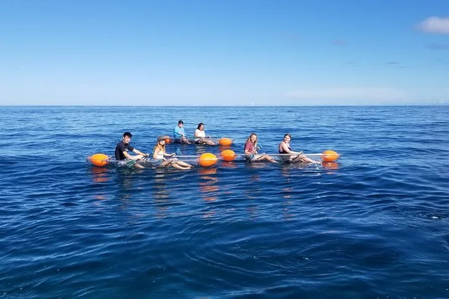 Haleiwa Clear Bottom Kayak Tour with Turtles 2 hr - Image 2