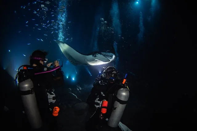 Hawaii Manta Night Dive and Snorkel 3 hr - Image 5