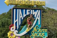 Oahu Private Tour North Shore and Waimea Falls thumbnail 3
