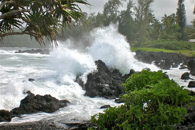 Maui Road to Hana Tour - Image 6