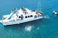 Honolulu Catamaran Charter with E Sea Diver 3 hr thumbnail 1