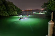 Anna Maria Island Clear Kayak LED Night Tour thumbnail 5