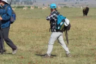Yellowstone Lamar Valley Hiking Tour thumbnail 2
