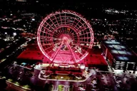 Orlando Helicopter Tour Over Theme Parks and Downtown thumbnail 3