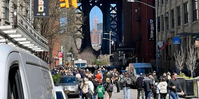 New York Brooklyn Bridge and DUMBO Walking Tour - Image 4