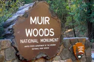 San Francisco Muir Woods Cycling Tour thumbnail 2