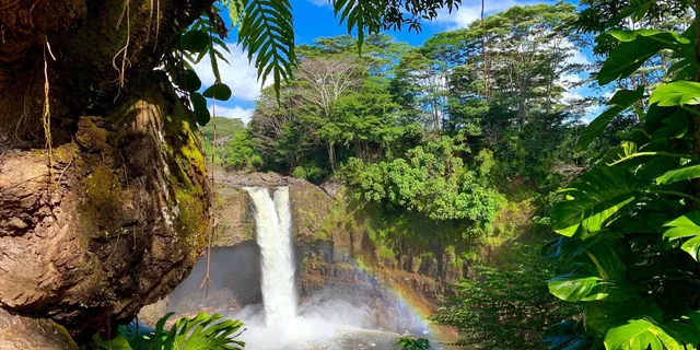 Hilo Volcanoes National Park Tour - Image 2