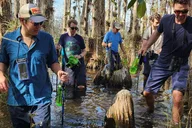 Everglades Eco Adventure with Biologist Walk and Boat Trips thumbnail 2