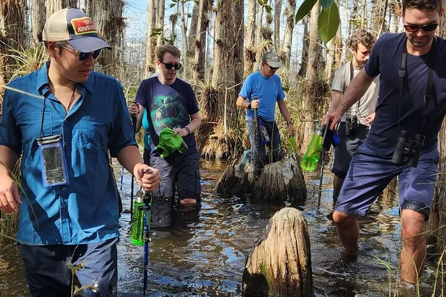 Everglades Eco Adventure with Biologist Walk and Boat Trips - Image 2