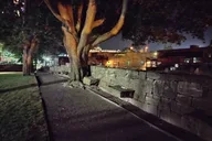 Salem Magic Lantern Tour thumbnail 5