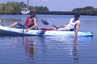 Manatee Cove Tandem Kayak Rental with Wildlife Sightings 2 hr thumbnail 2