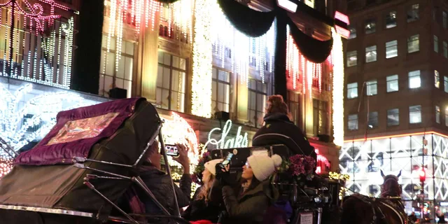 New York City Christmas Lights Carriage Ride - Image 6