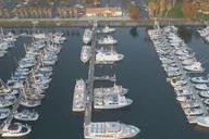 San Diego Dolphin Watch Sunset Cruise thumbnail 6