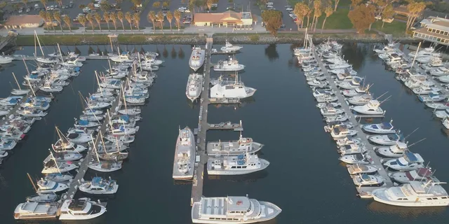 San Diego Dolphin Watch Sunset Cruise - Image 6