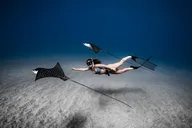 Maui Underwater Photoshoot thumbnail 3