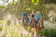 Oahu Scenic Horseback Ride 1 Hour thumbnail 6