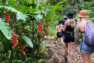 Maui Road to Hana Private Tour thumbnail 3