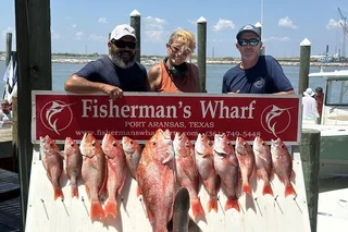 Port Aransas Snapper Fishing Adventure 8 hr