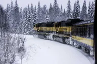 Fairbanks to Anchorage Aurora Winter Train thumbnail 6