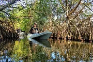 Cocoa Beach Mangrove Kayak Tour at Sunset thumbnail 5