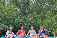 Key West Mangrove Kayak Tour 2 hr thumbnail 2