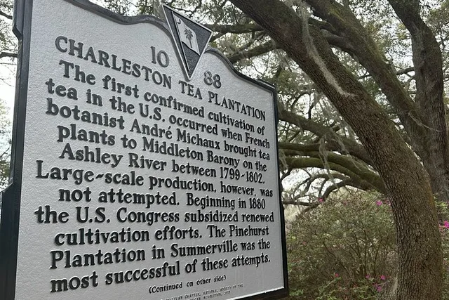 Charleston Tea Plantation and Winery Tour - Image 2