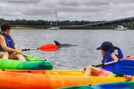 Hilton Head Kayak Tour at Sunrise 1.5 hr thumbnail 4