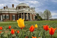 Washington D.C. Monticello Day Tour thumbnail 4