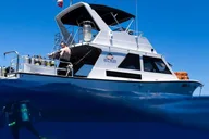 Kauai Scuba Diving Charter for Certified Divers thumbnail 1