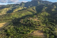 Oahu Chocolate Farm Tour with Tasting thumbnail 1