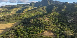 Oahu Chocolate Farm Tour with Tasting