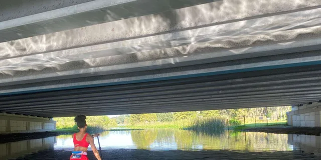 Orlando Urban Kayak or Paddleboard Tour - Image 3