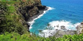 Kauai River Cruise and Lighthouse Tour