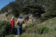 Point Lobos Nature Walk 2 hr thumbnail 4
