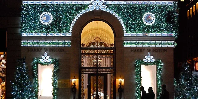 New York Holiday Lights and Grand Central Tour - Image 3