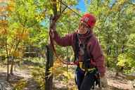 Camdenton Zipline Canopy Tour 2 hr thumbnail 3
