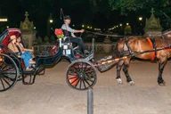 New York City Moonlight Horse Carriage Ride thumbnail 2