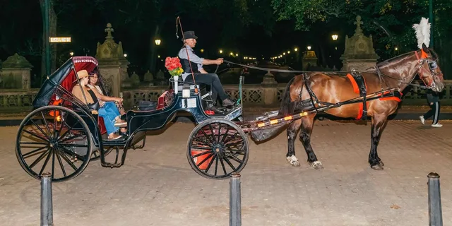 New York City Moonlight Horse Carriage Ride - Image 2