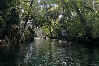 Silver River Clear Kayak Tour
