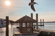 Orange Beach Sunset Tiki Bar Cruise 90 Min thumbnail 6