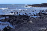 Big Island Circle Island Tour from Kona thumbnail 3