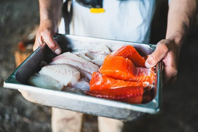 Ketchikan Fishing and Wilderness Dining Experience - Image 2