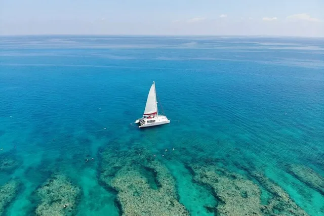 Key West Snorkeling Experience with Drinks 3 hr - Image 5