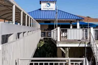 Charleston Harbor Sightseeing & Dolphin Watch Tour 1.5 hr thumbnail 2