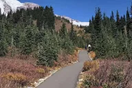 Seattle Mount Rainier National Park Day Tour thumbnail 5