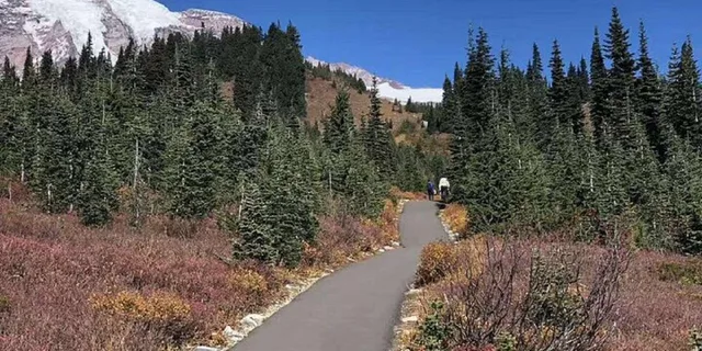 Seattle Mount Rainier National Park Day Tour - Image 5