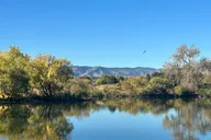 Denver Bird Watching Tour thumbnail 3