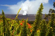 Kona to Oahu Pearl Harbor Adventure thumbnail 1