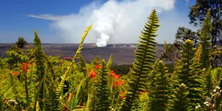 Kona to Oahu Pearl Harbor Adventure